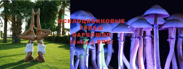амф Барнаул