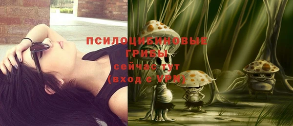 герыч Пенза